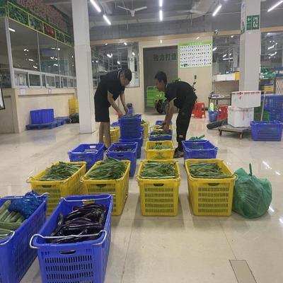 坑梓蔬菜配送公司 连接蔬菜种植基地与市场的绿色桥梁