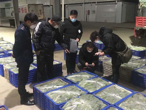 构筑红盾矩阵，助力复工复产 芝罘区以“四抓好一强化”保障百姓农产品安全放心