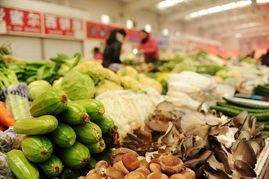 透视蔬菜价格连涨11周 农产品生产困局与破局之道